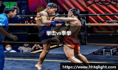 拳击vs泰拳