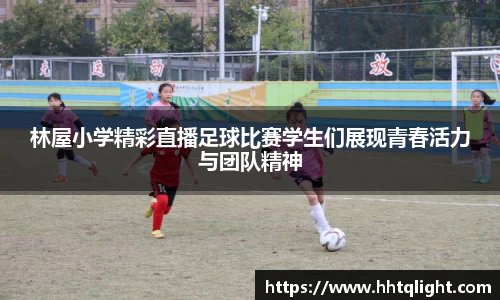 林屋小学精彩直播足球比赛学生们展现青春活力与团队精神